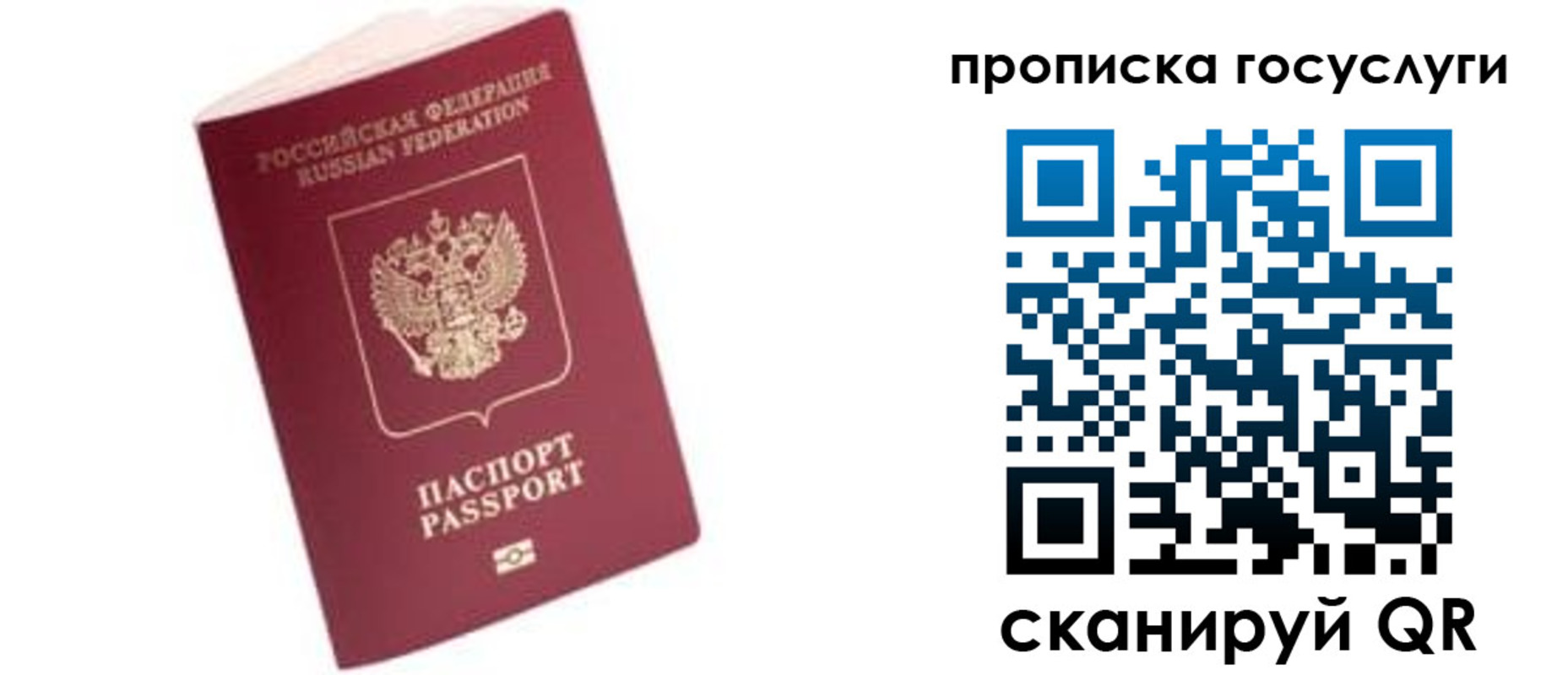 прописка в Шахунье
